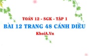 Bài 12 trang 48 Toán 12 tập 1 Cánh Diều